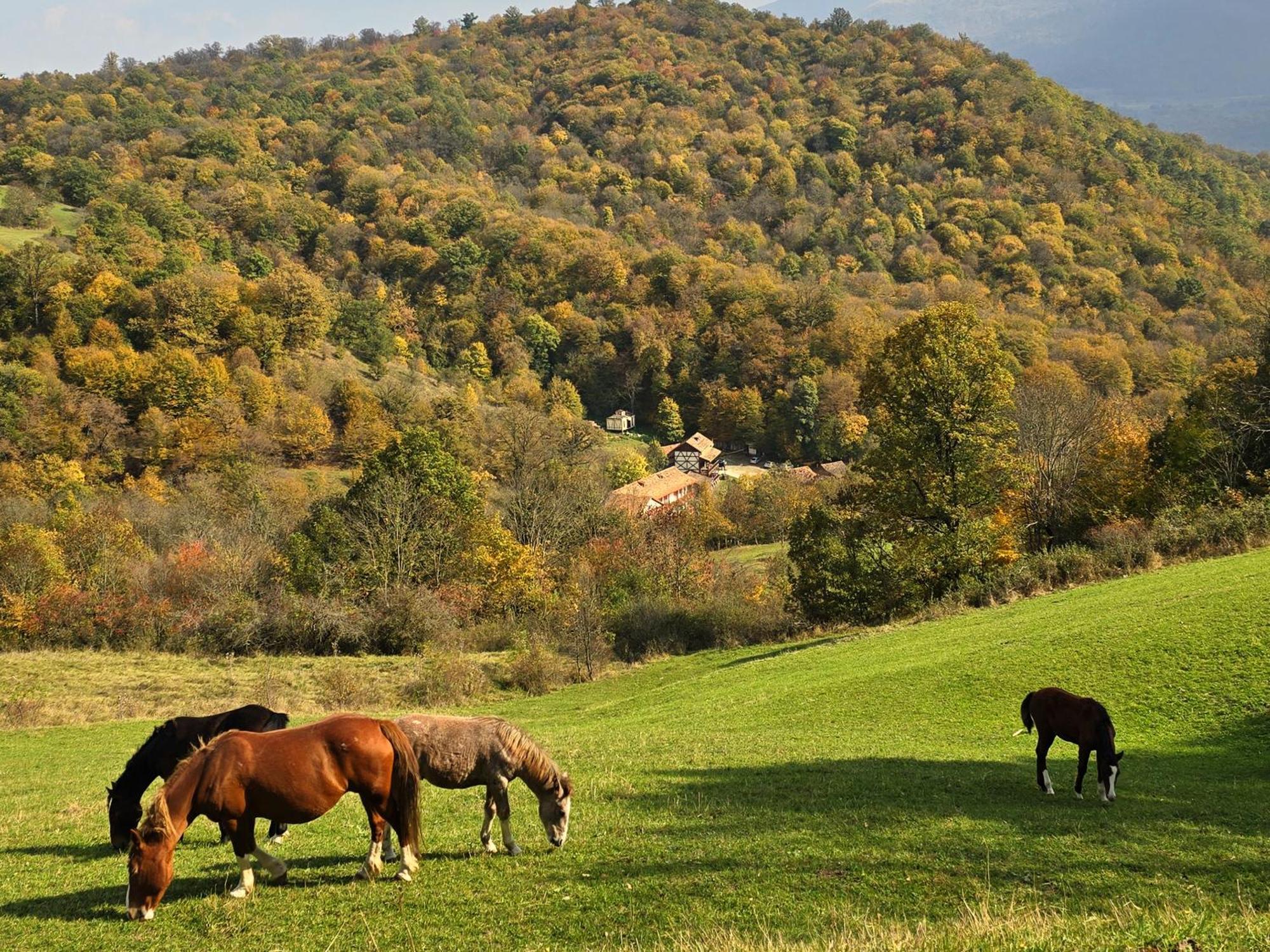 Ecokayan Dilijan Resort Hotel Exteriér fotografie